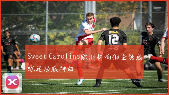 Sweet Caroline欧洲杯响彻全场成球迷助威神曲